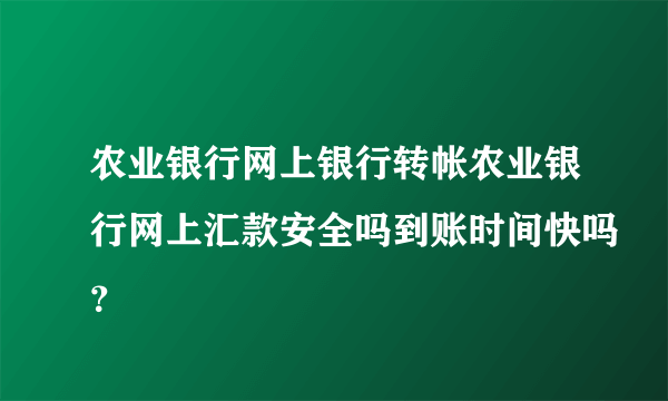 农业银行网上银行转帐农业银行网上汇款安全吗到账时间快吗？