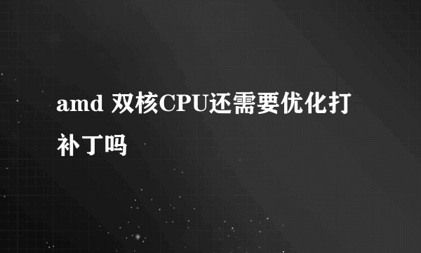 amd 双核CPU还需要优化打补丁吗