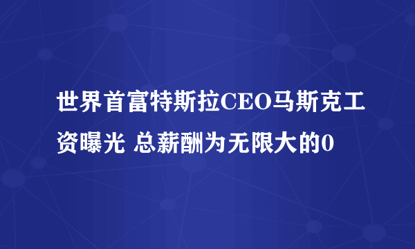 世界首富特斯拉CEO马斯克工资曝光 总薪酬为无限大的0