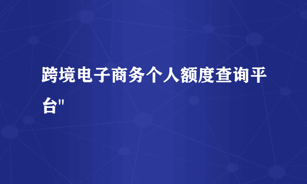 跨境电子商务个人额度查询平台