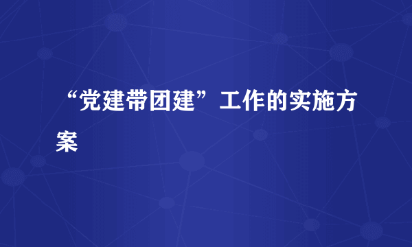 “党建带团建”工作的实施方案