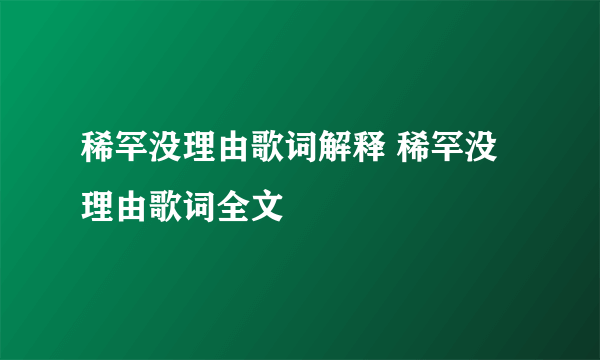 稀罕没理由歌词解释 稀罕没理由歌词全文