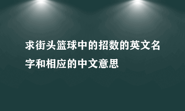 求街头篮球中的招数的英文名字和相应的中文意思