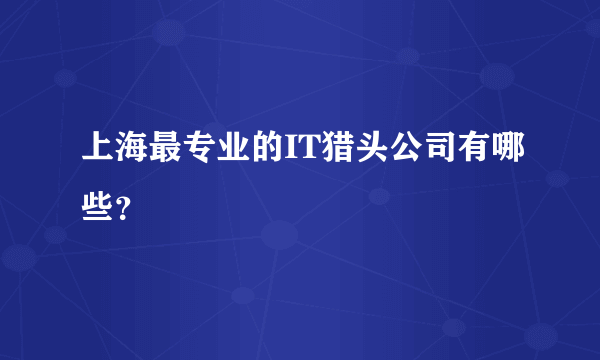 上海最专业的IT猎头公司有哪些？