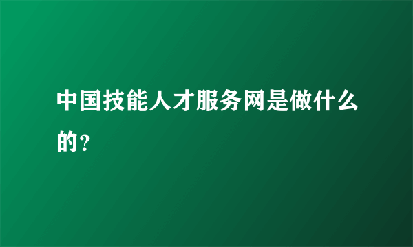 中国技能人才服务网是做什么的？