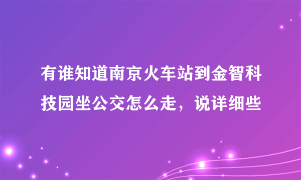 有谁知道南京火车站到金智科技园坐公交怎么走，说详细些