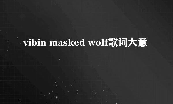 vibin masked wolf歌词大意