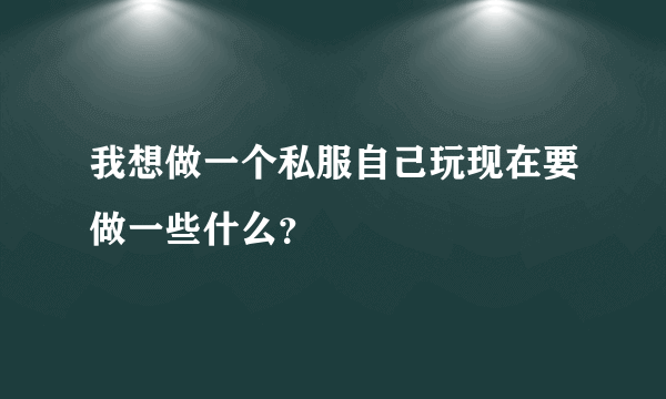 我想做一个私服自己玩现在要做一些什么？