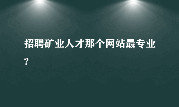 招聘矿业人才那个网站最专业?