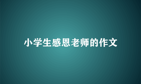 小学生感恩老师的作文