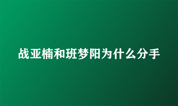 战亚楠和班梦阳为什么分手