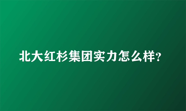 北大红杉集团实力怎么样？