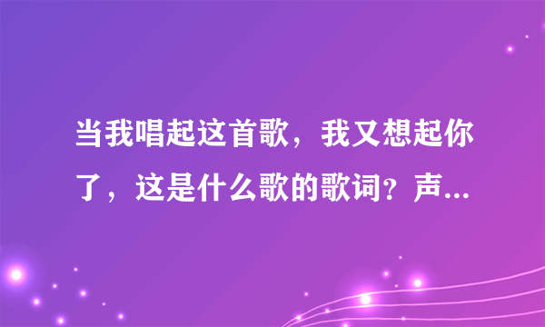 当我唱起这首歌，我又想起你了，这是什么歌的歌词？声音貌似像小贱