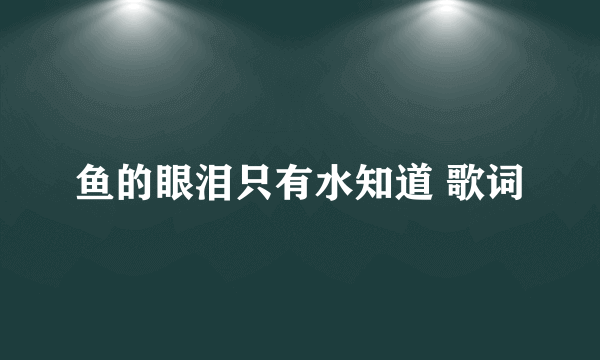 鱼的眼泪只有水知道 歌词