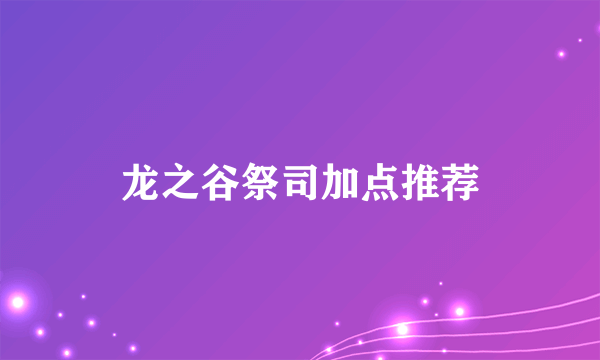 龙之谷祭司加点推荐