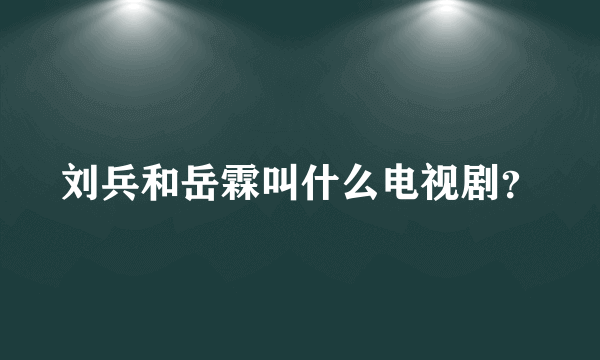 刘兵和岳霖叫什么电视剧？