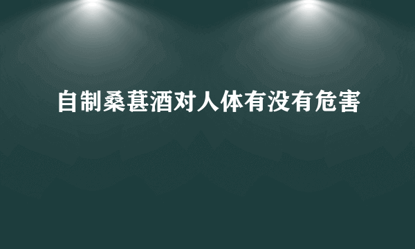 自制桑葚酒对人体有没有危害