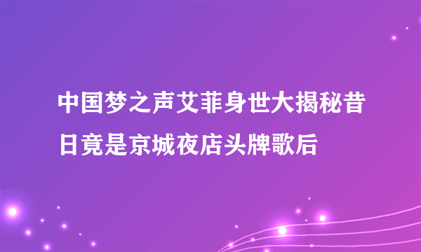 中国梦之声艾菲身世大揭秘昔日竟是京城夜店头牌歌后