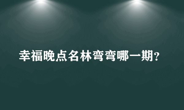 幸福晚点名林弯弯哪一期？