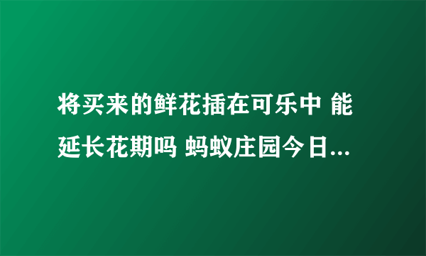 将买来的鲜花插在可乐中 能延长花期吗 蚂蚁庄园今日答案7月11日