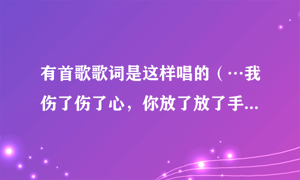 有首歌歌词是这样唱的（…我伤了伤了心，你放了放了手。我们的爱已无法挽留…）请问这首歌的歌名是什么？