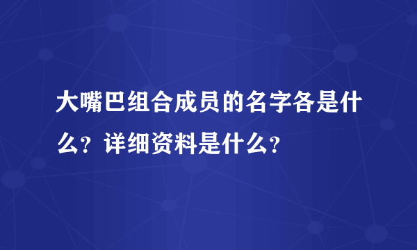 大嘴巴组合成员的名字各是什么？详细资料是什么？