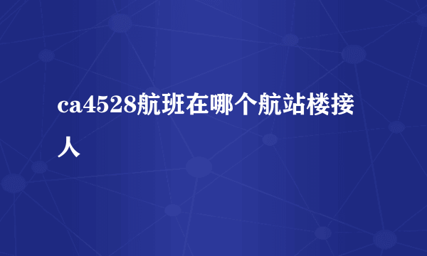 ca4528航班在哪个航站楼接人