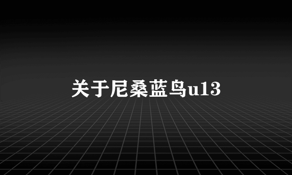 关于尼桑蓝鸟u13