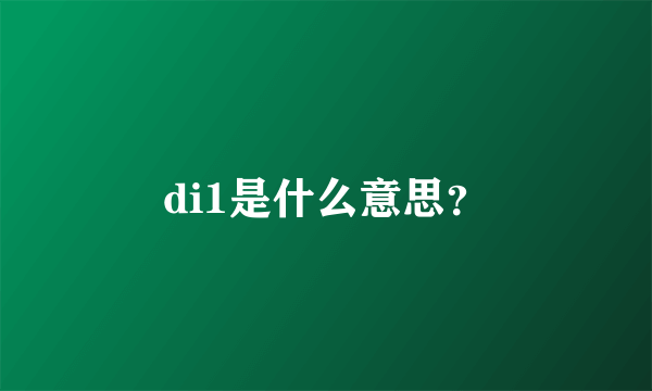 di1是什么意思？