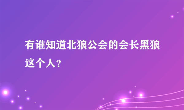 有谁知道北狼公会的会长黑狼这个人？