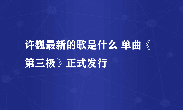 许巍最新的歌是什么 单曲《第三极》正式发行