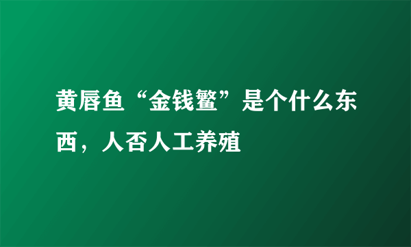 黄唇鱼“金钱鳘”是个什么东西，人否人工养殖