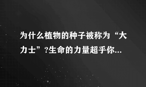 为什么植物的种子被称为“大力士”?生命的力量超乎你的想象呀？