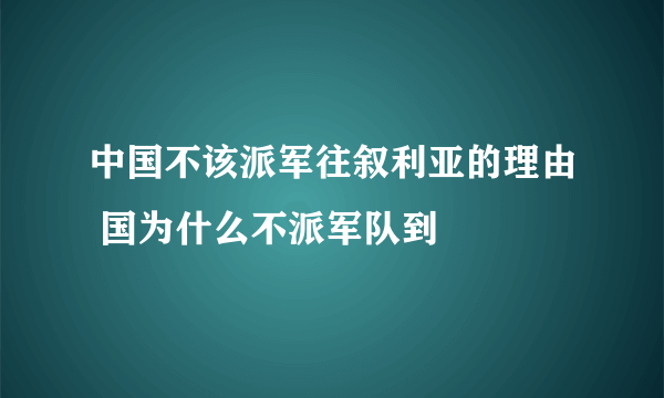 中国不该派军往叙利亚的理由 国为什么不派军队到