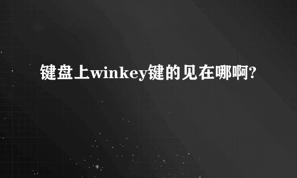 键盘上winkey键的见在哪啊?