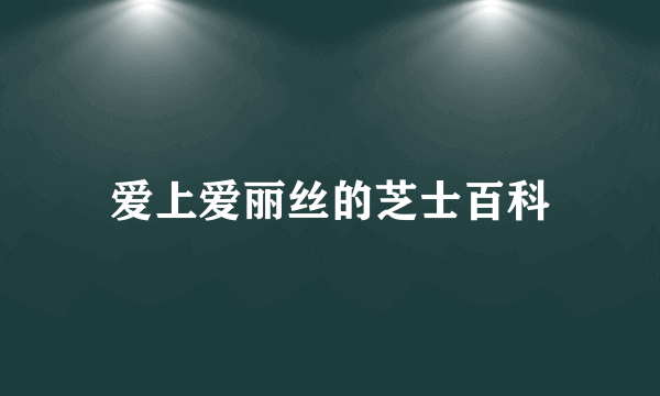 爱上爱丽丝的芝士百科