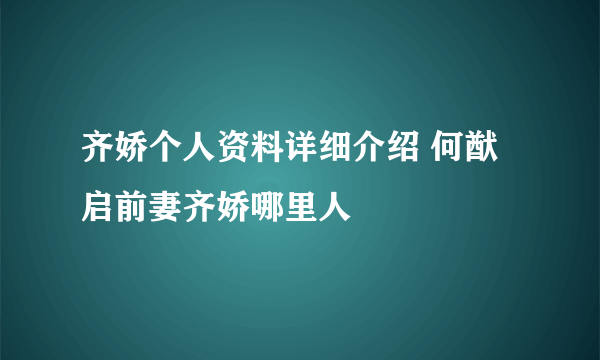 齐娇个人资料详细介绍 何猷启前妻齐娇哪里人