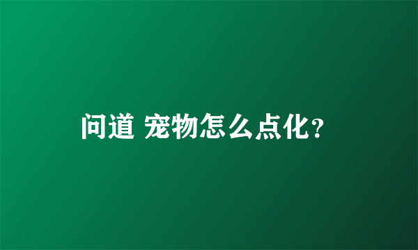 问道 宠物怎么点化？