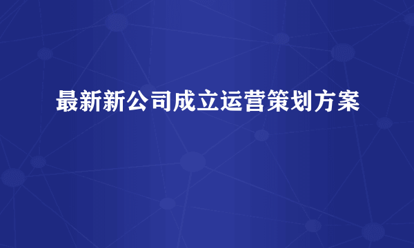 最新新公司成立运营策划方案