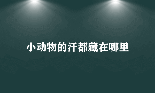 小动物的汗都藏在哪里