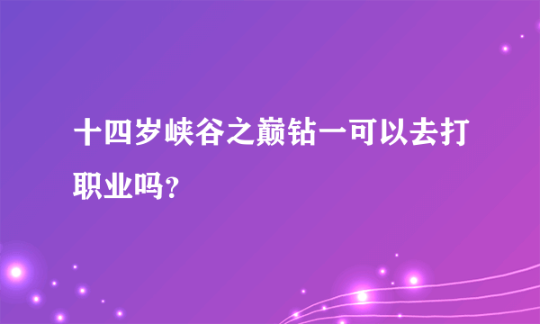 十四岁峡谷之巅钻一可以去打职业吗？