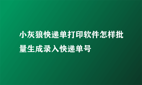 小灰狼快递单打印软件怎样批量生成录入快递单号