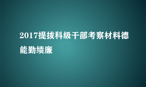 2017提拔科级干部考察材料德能勤绩廉