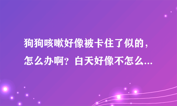 狗狗咳嗽好像被卡住了似的，怎么办啊？白天好像不怎么咳嗽，一到半夜或者凌晨就咳嗽