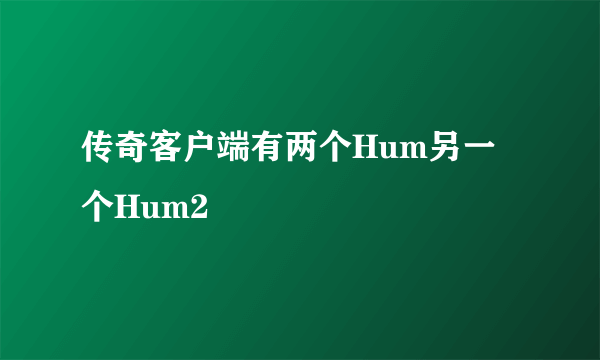 传奇客户端有两个Hum另一个Hum2