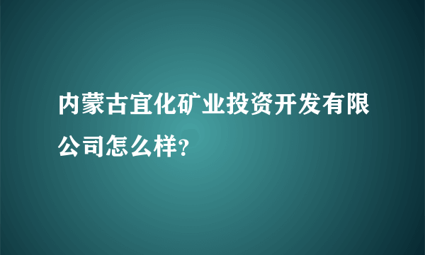 内蒙古宜化矿业投资开发有限公司怎么样？