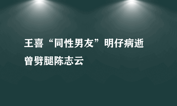 王喜“同性男友”明仔病逝 曾劈腿陈志云