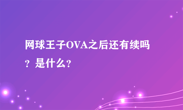 网球王子OVA之后还有续吗？是什么？