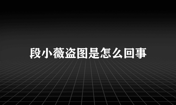 段小薇盗图是怎么回事