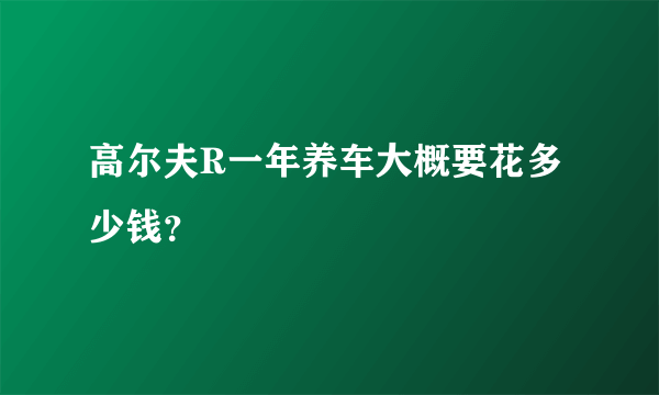 高尔夫R一年养车大概要花多少钱？